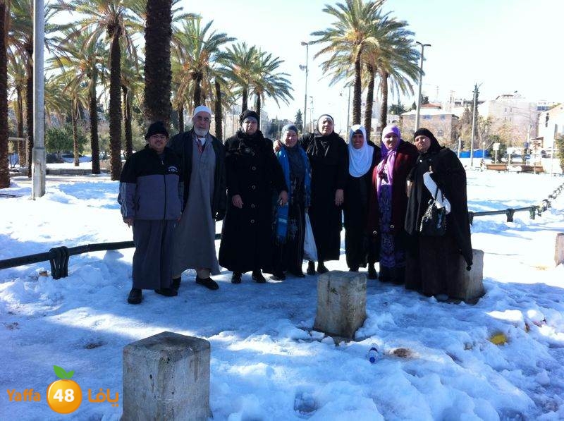 yaffa byareq (1).jpg